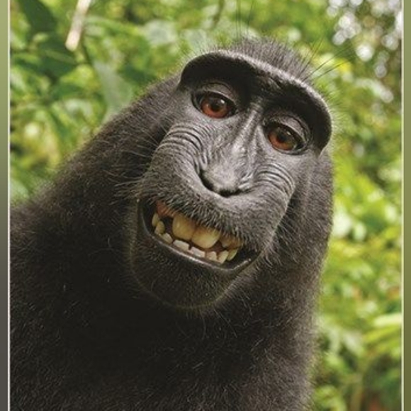 Got Box! Need Label? - Picture 2 of 3